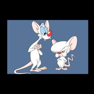 Meet your Posher, Jesse